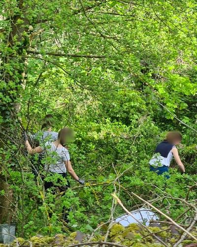 Débroussaillage coté nord de la maison du vigneron.